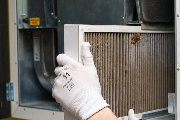 Best Dryer Vent Cleaning Services  in Arthurtown, SC